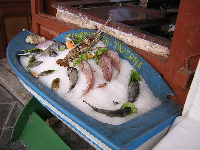image11