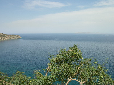 image6