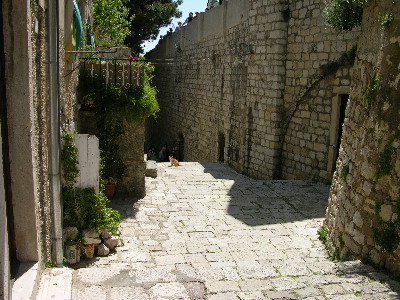 image61