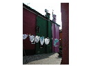 thumbnail9