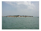 thumbnail6